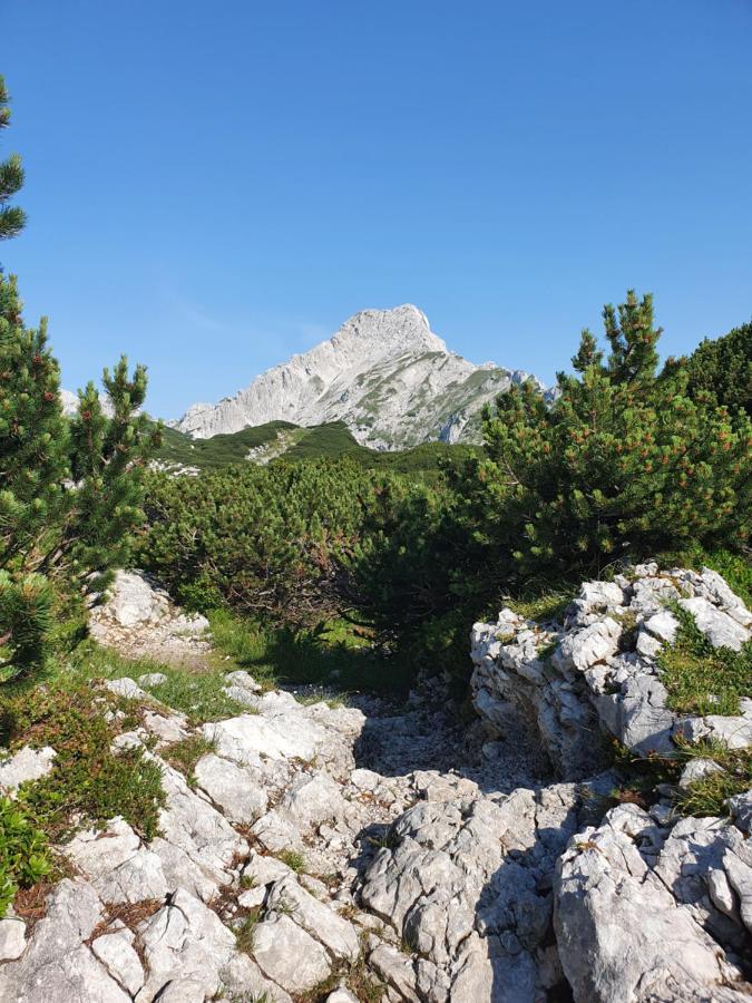 Holiday Home Prdelanca Luče Dış mekan fotoğraf