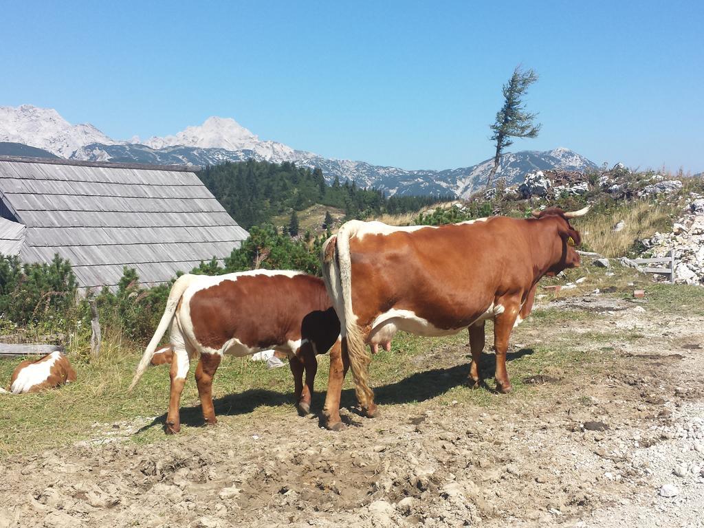 Holiday Home Prdelanca Luče Dış mekan fotoğraf