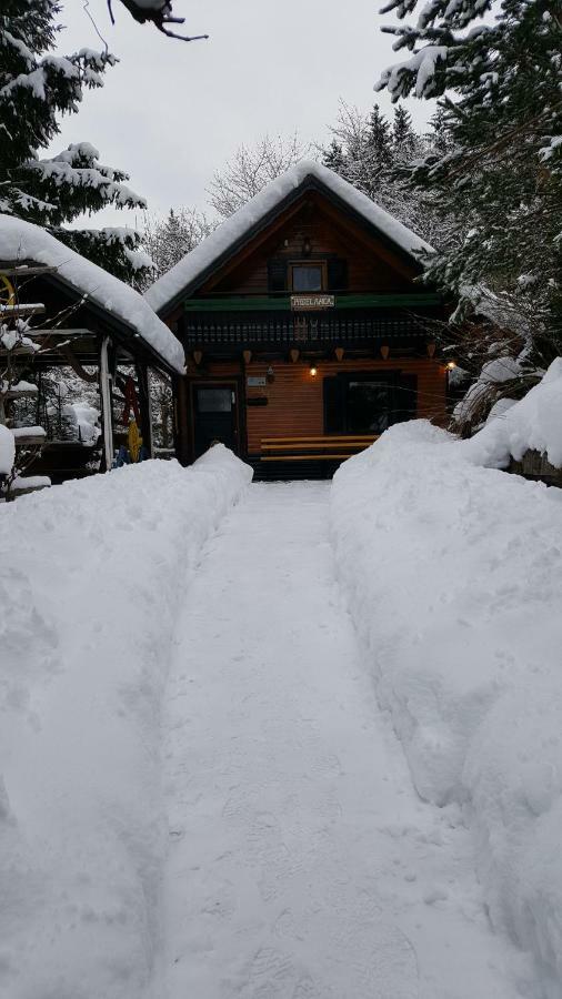Holiday Home Prdelanca Luče Dış mekan fotoğraf
